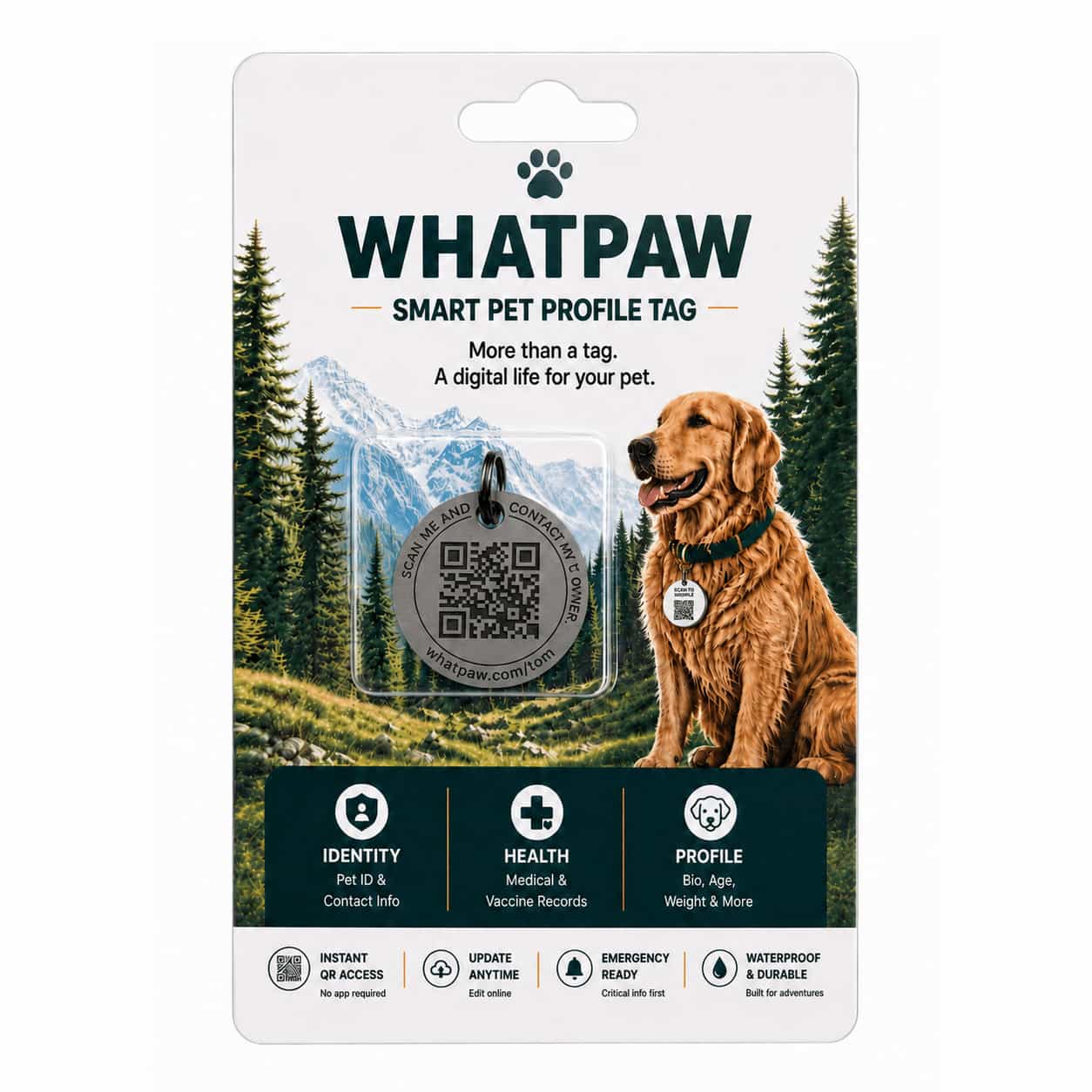 Back of titanium QR dog tag