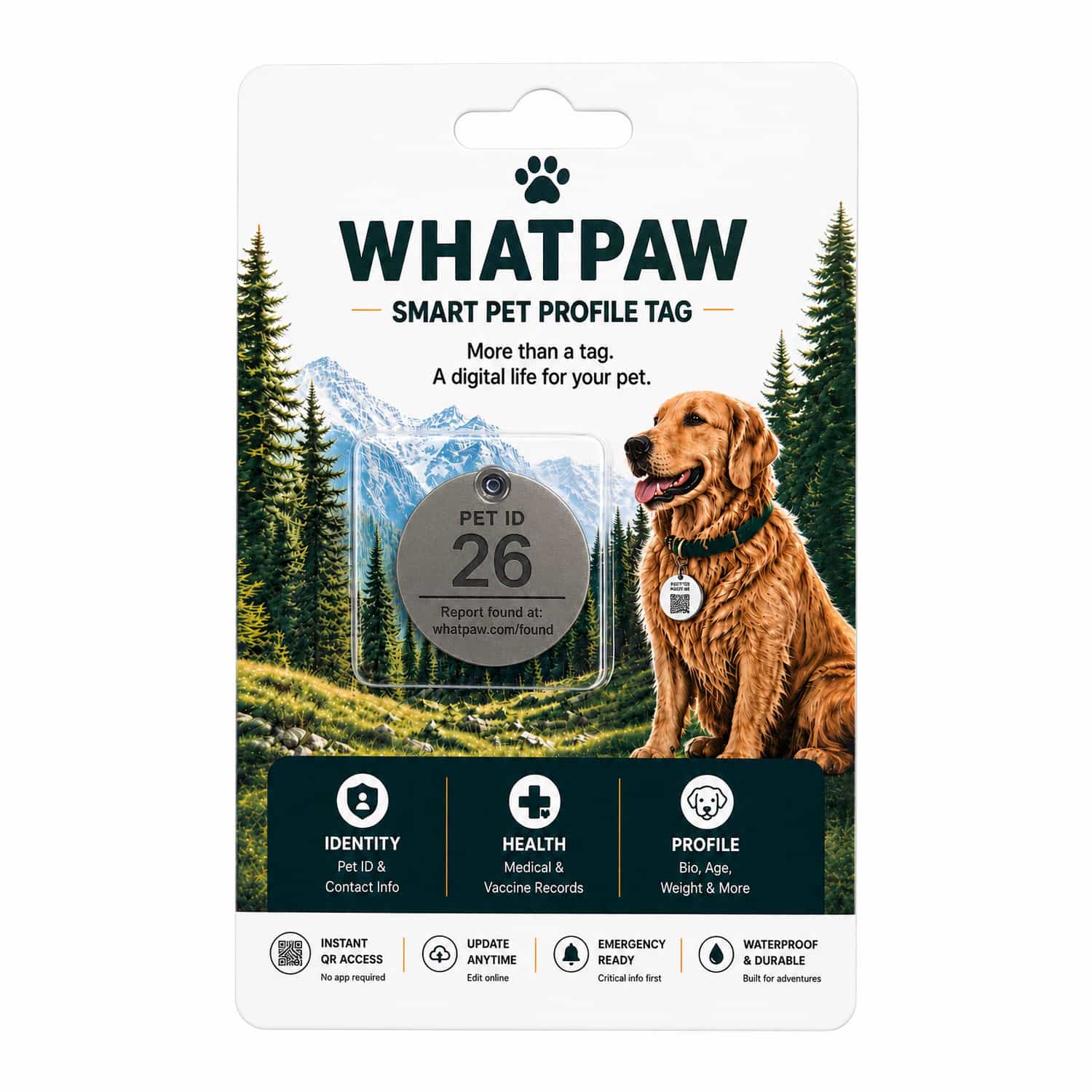Pre-Engraved Ti-6Al-4V Grade 5 Titanium Pet ID Tag for Dogs and Cats in use