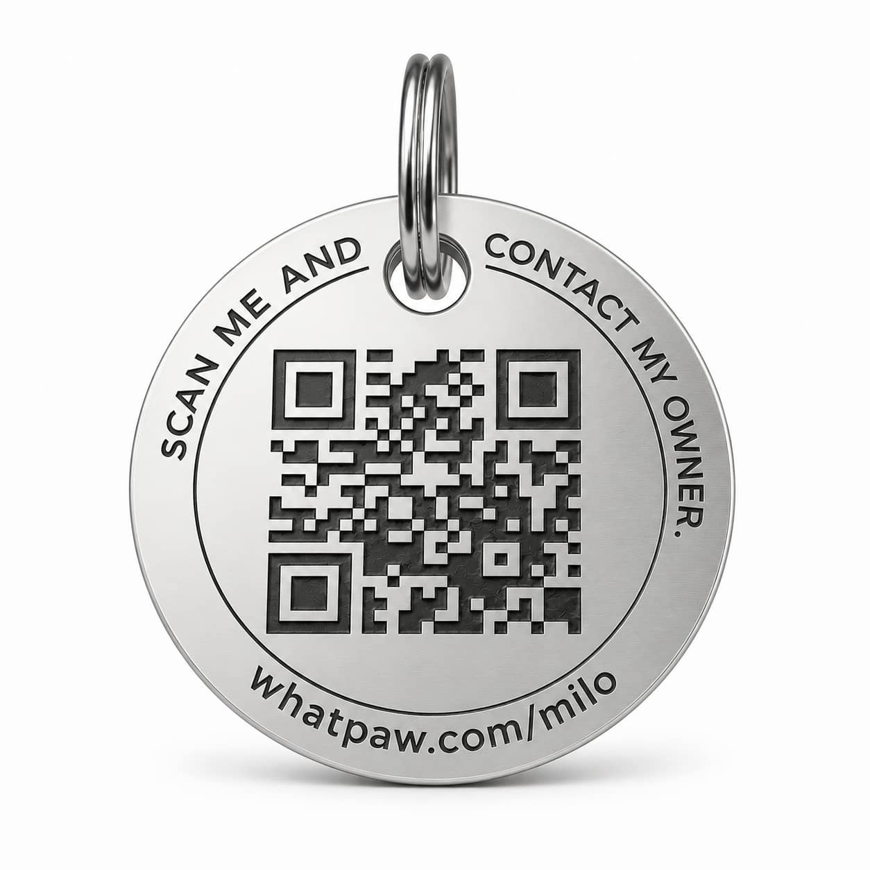 Custom Engraved Stainless Steel Pet ID Tag for Dogs and Cats in use