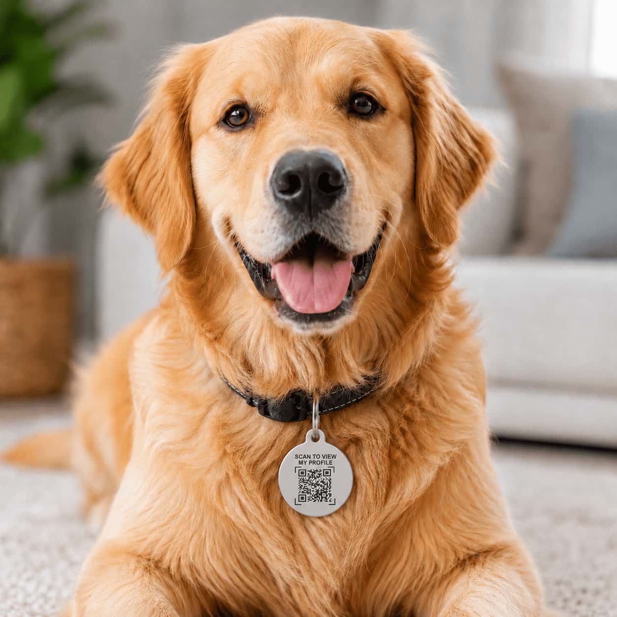 Pre-Engraved Stainless Steel Pet ID Tag for Dogs and Cats packaging