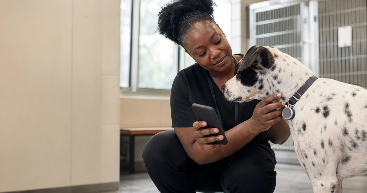 Illustration for “How Visible Pet ID and QR Scanning Speed Up Reunions”