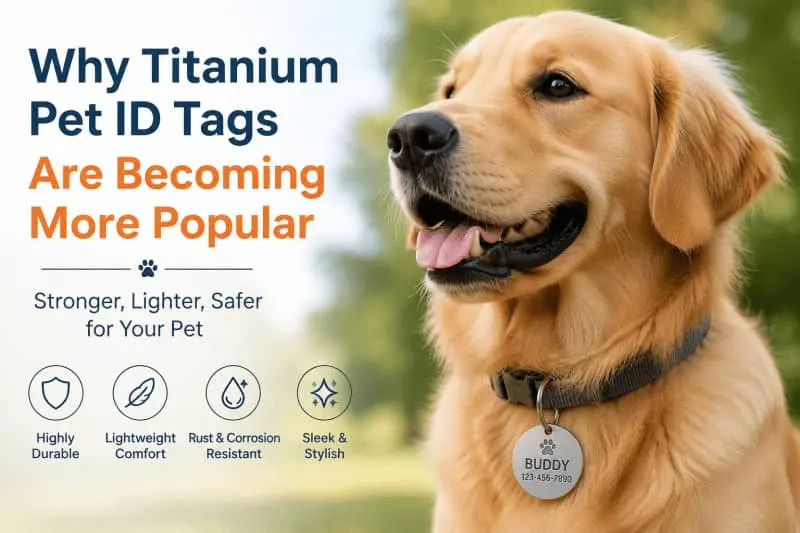 Dog wearing a lightweight titanium pet ID tag
