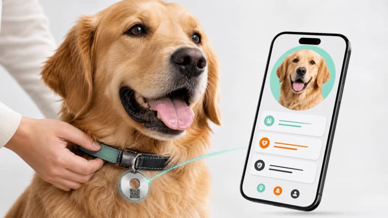 What Is WhatPaw video thumbnail