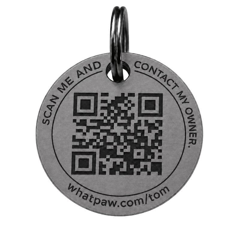 Custom titanium pet tag B side