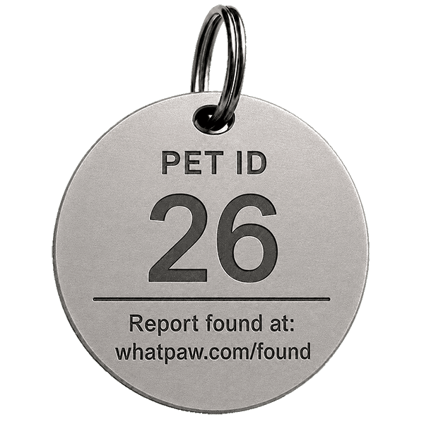 Pre engraved titanium pet tag A side